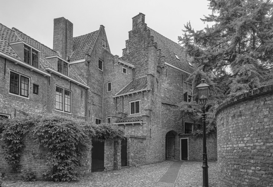 Fotografie