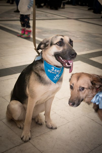 061018DA-7541-432A-88B0-C8301B3FC2A4