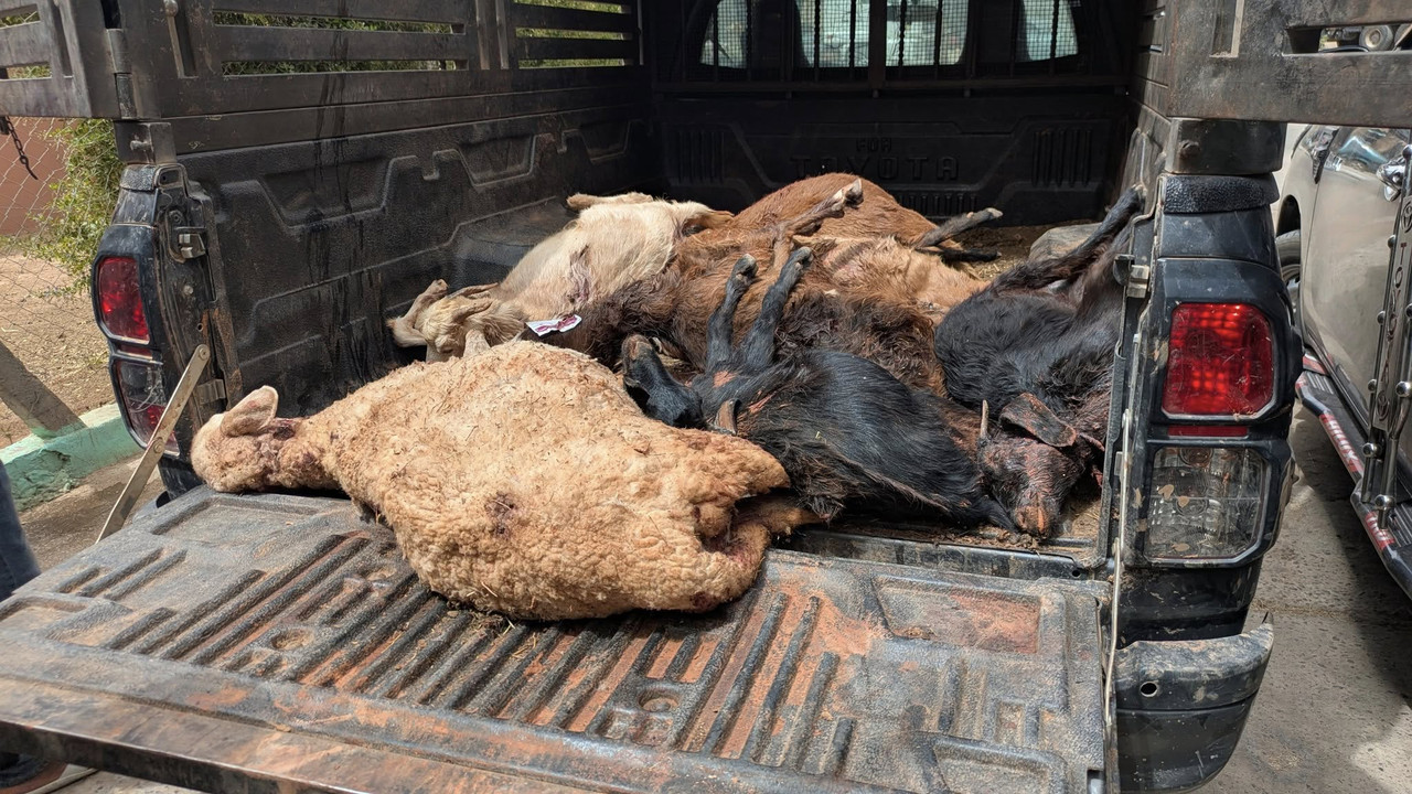 541602815_601903073004228_4477754489499231415_n (1)