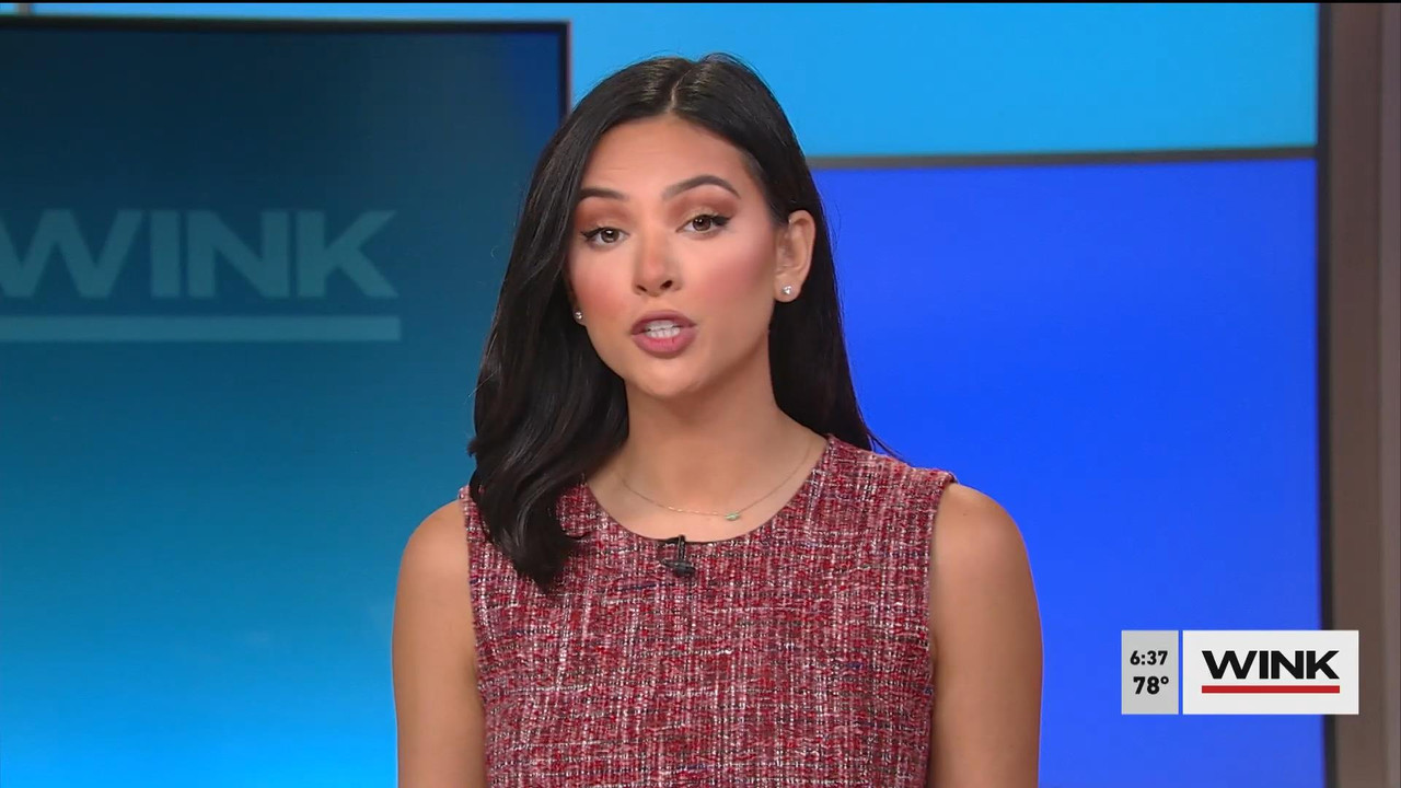 08.08 - 11.00.00 - WINK News @ 6 00AM Sunday. Local news, sports and ....ts_snapshot_24.59_[2021.08.
