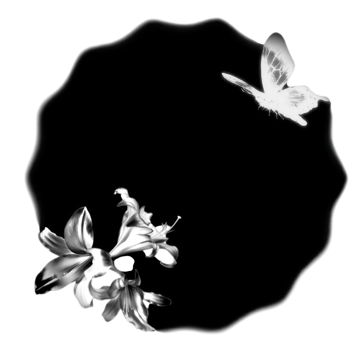 st4nzfeng on Pinterest