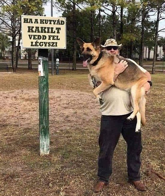https://i.postimg.cc/263r2Tjp/ha-a-kutyad.jpg