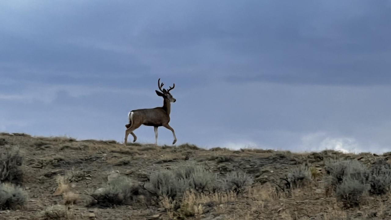 83E0674A-A9B9-4D63-BA00-6B6365EC7660