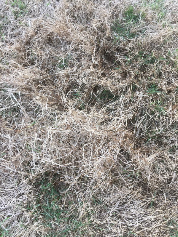 281B1B7C-9A67-42AA-8B0C-0F4960BE06B6