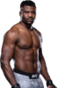 NGANNOU-FRANCIS-L.png