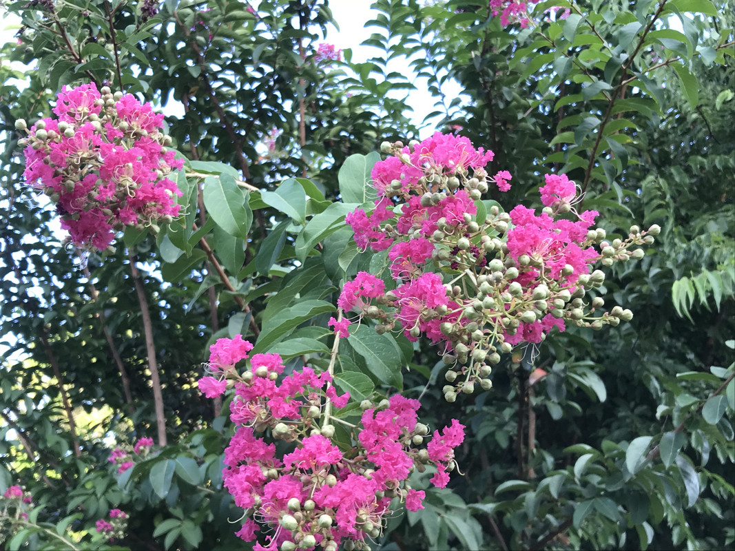 5DE0867A-FAF1-41F0-8BD0-510B29DD15A4