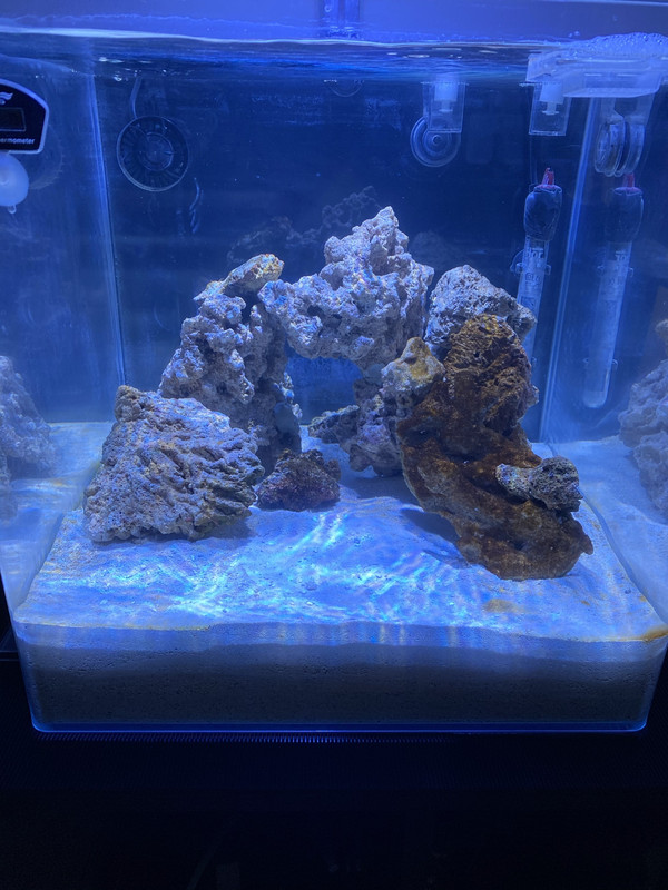 DE57A09A-3543-49E4-878E-EBDC23F3E1E5