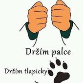 palce
