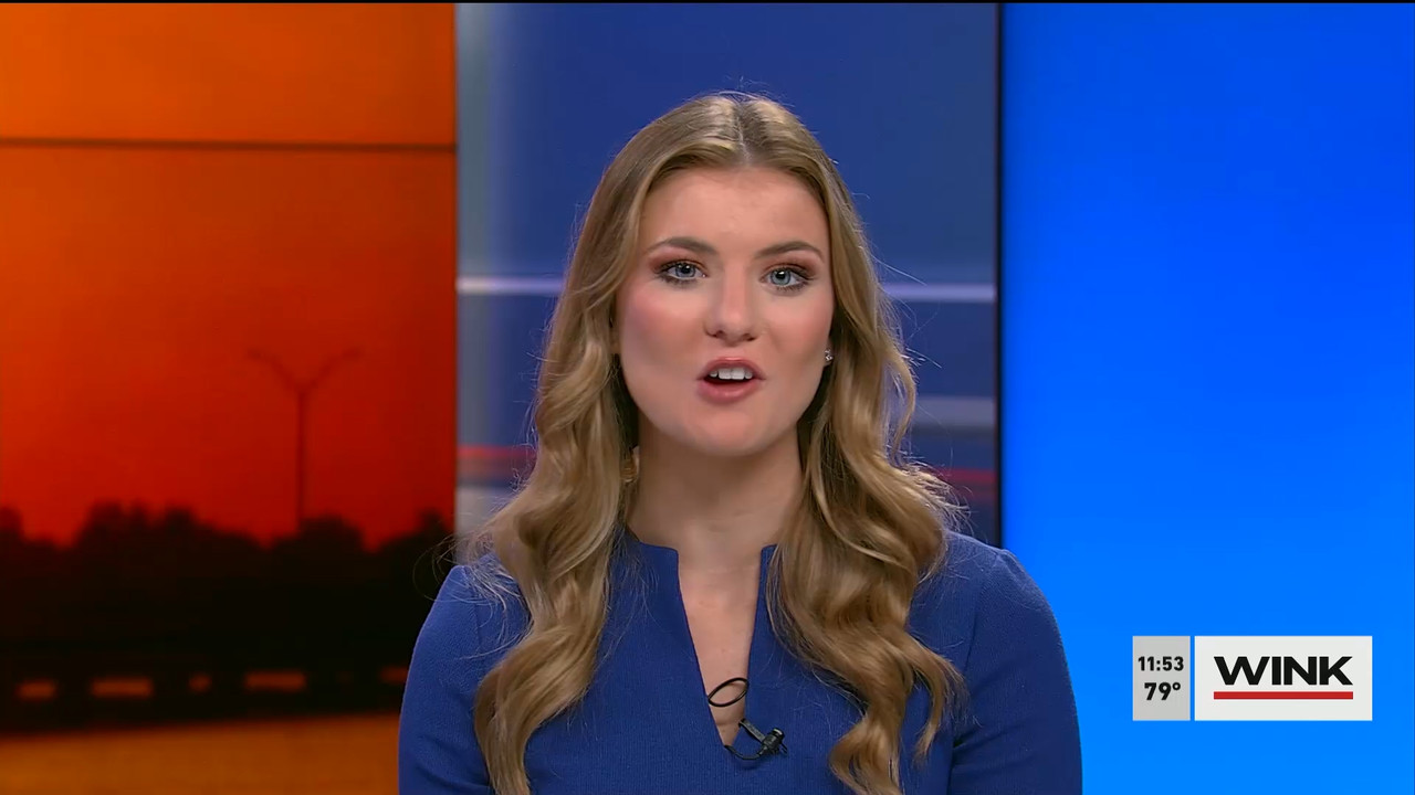01.01 - 16.30.00 - WINK NEWS at 11 30am  ᴺᵉʷ. Midday news..ts_snapshot_29.26.884