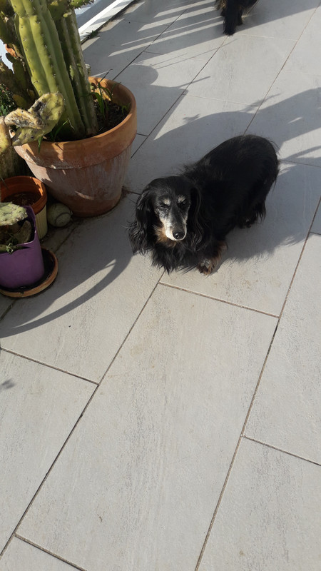 [Image: 20210213-140005.jpg]