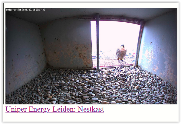 Screen Shot 02-15-25 at 09.13 AM