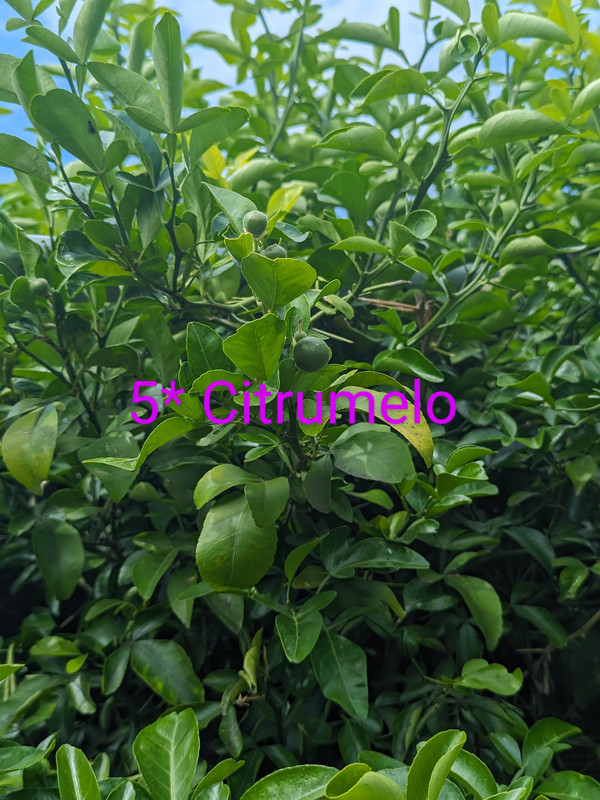 PXL_20240602_193935072~2