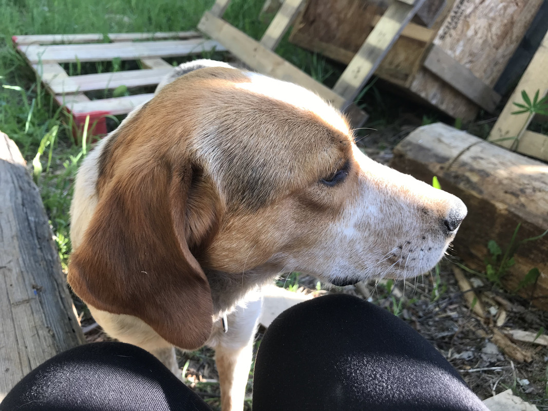 27E79482-6974-4795-8115-19801839746A