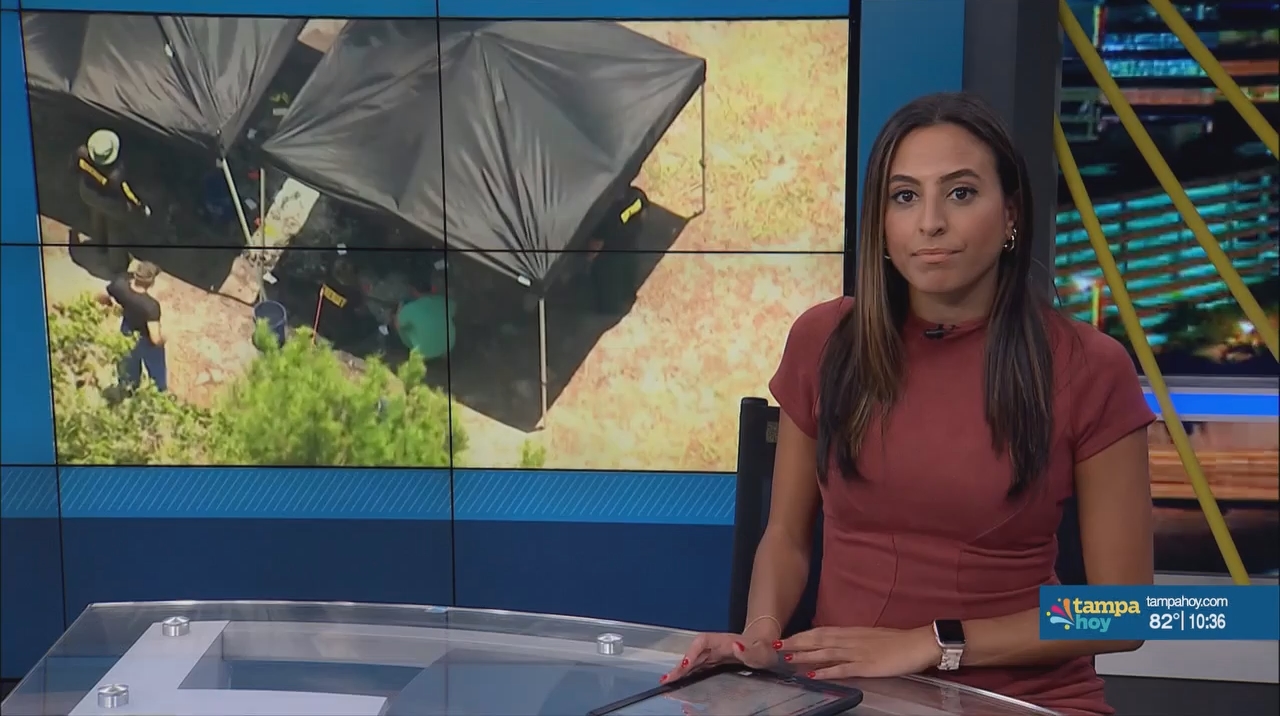 Noticias Tampa Hoy 20240618 03300400.mp4_snapshot_07.50.168