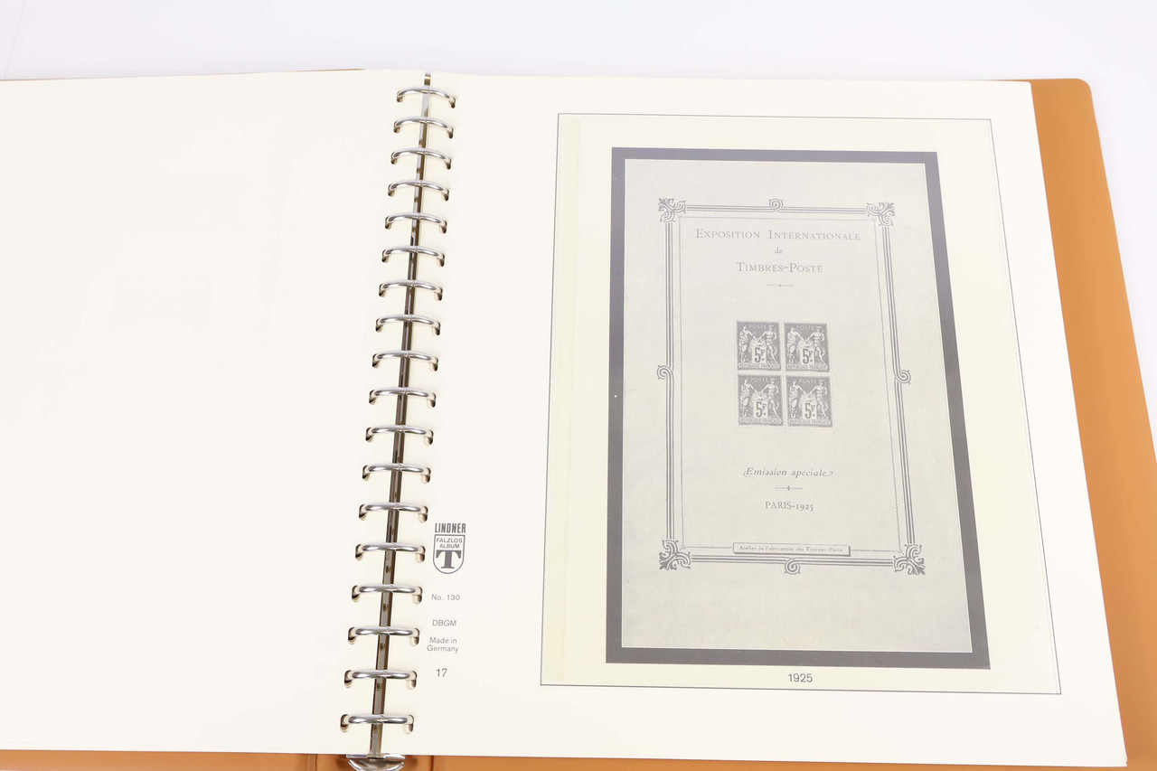 IMG 5528