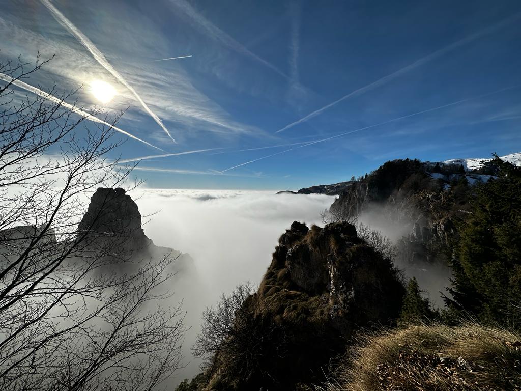 D887C19A-C589-4A38-87A7-7CC8DA2A8EED