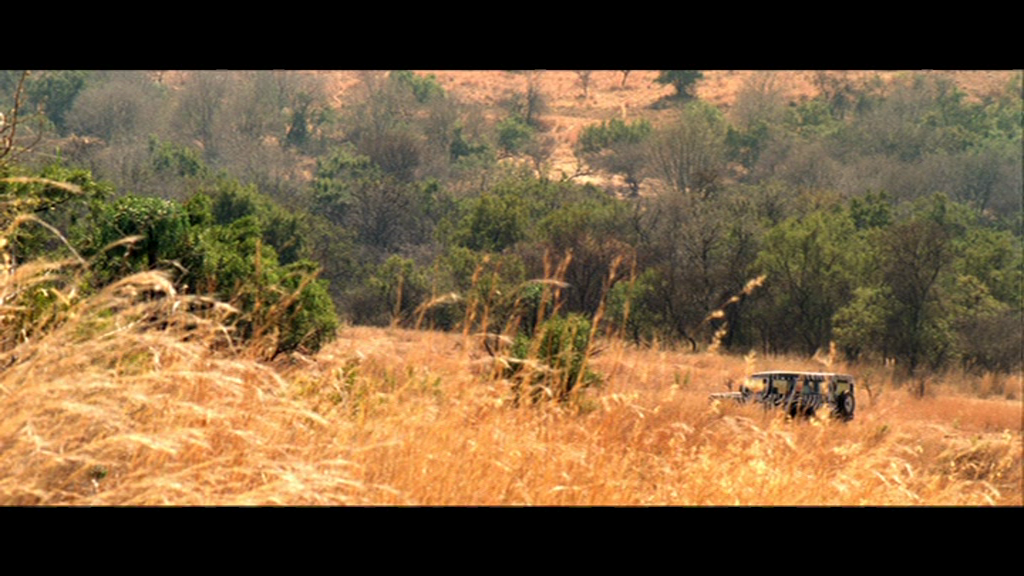 vlcsnap-2018-09-11-01h10m24s876