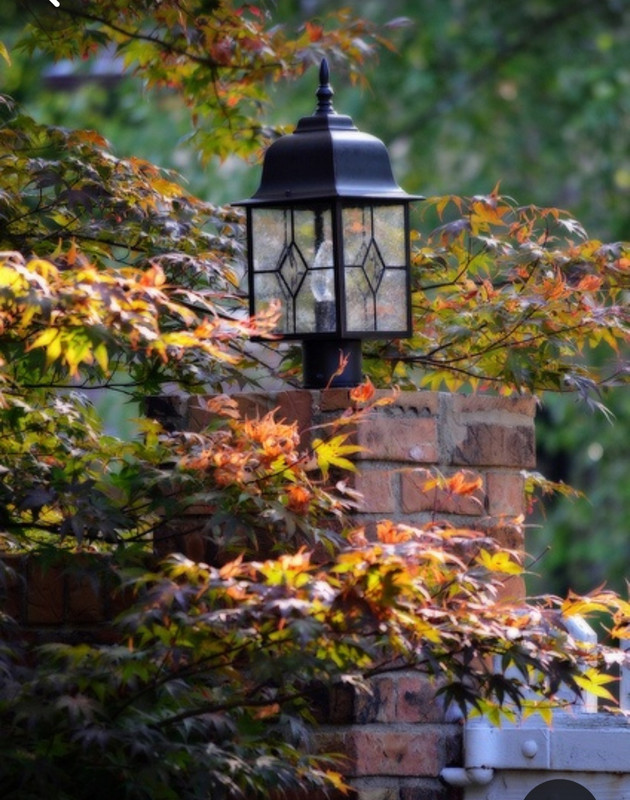 Screenshot_20231220_113010_Pinterest