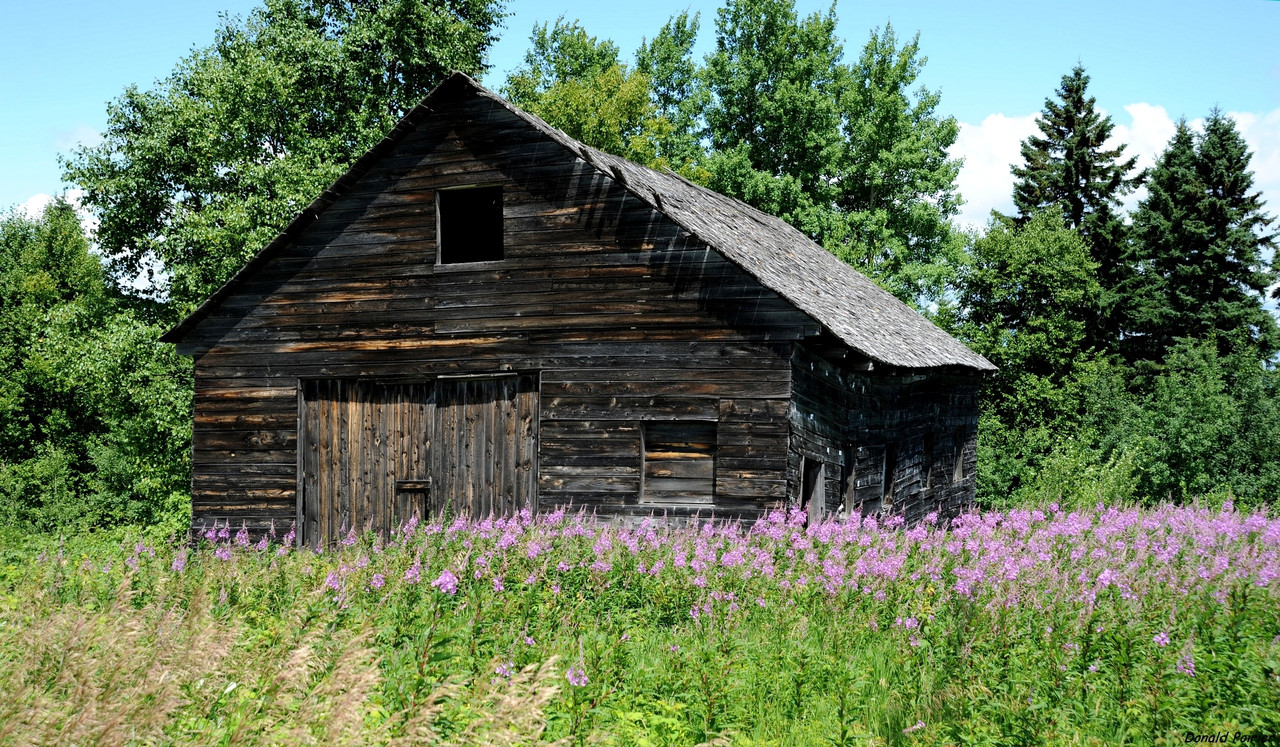 [Obrazek: 429040-Kycb.jpg]