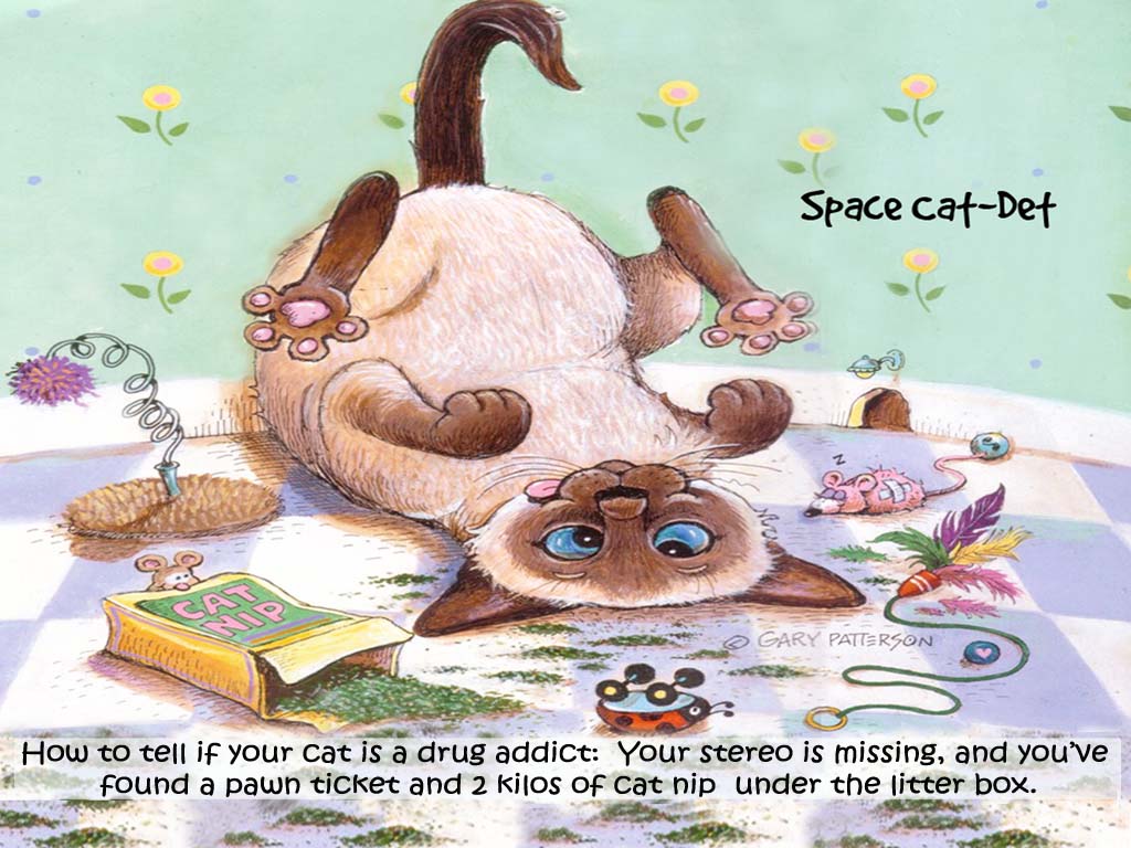 23-space-cat-det-1024x768