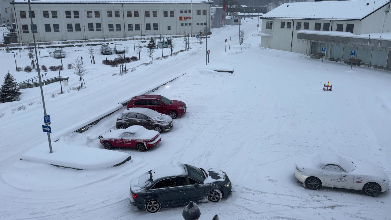 [Immagine: vlcsnap-2026-04-17-10h53m47s479.jpg]