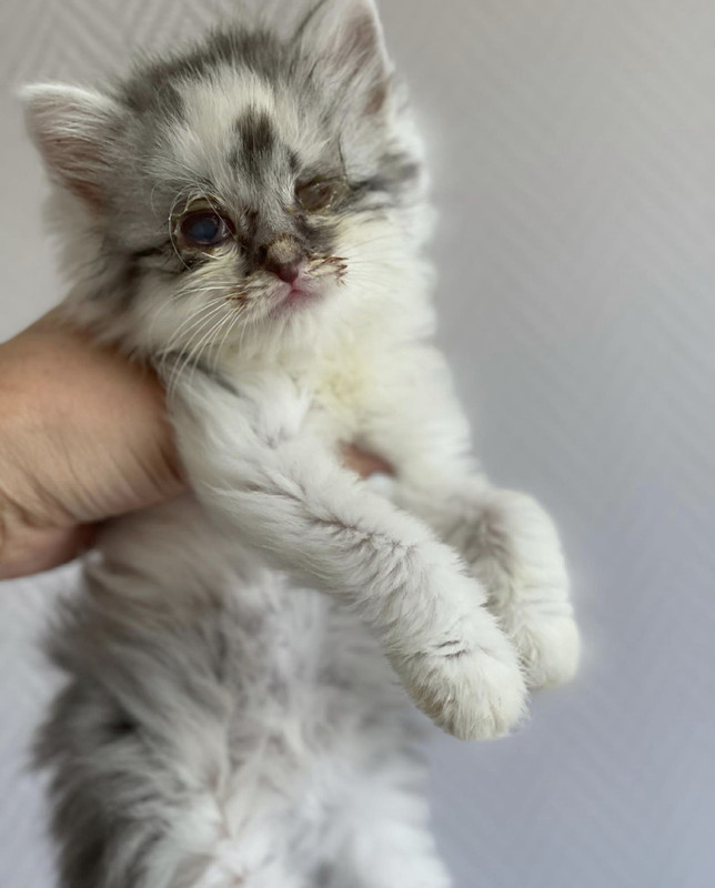 92123E39-51E4-42DF-BF36-681C8B6BB671