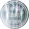 rsz-eternal-glades-hatchery-1.png