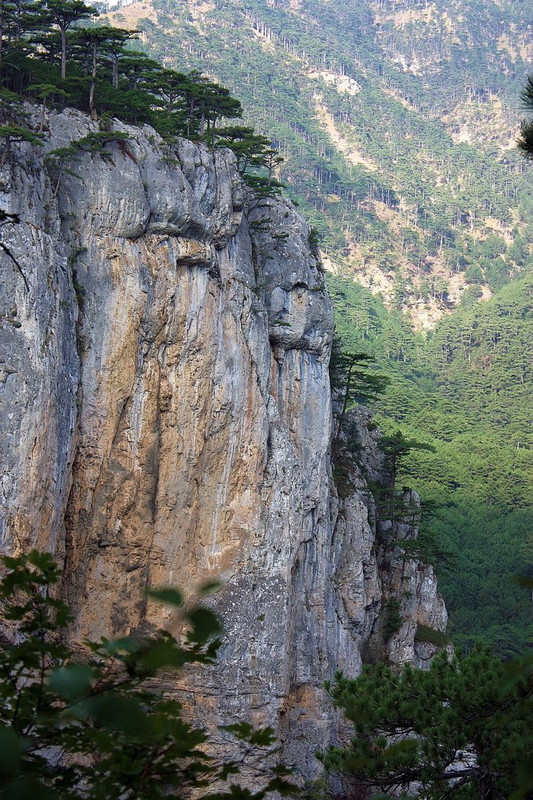 Изображение 1455