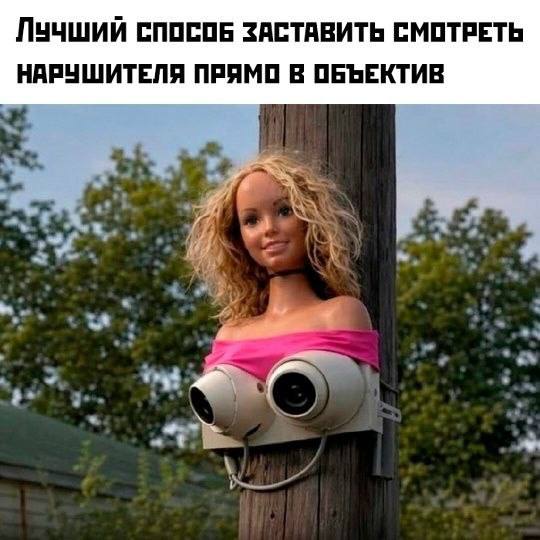 [Изображение: images-(1).jpg]