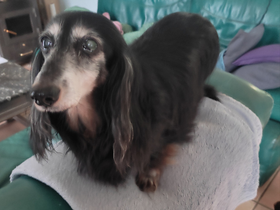 [Image: IMG-20240331-182945.jpg]