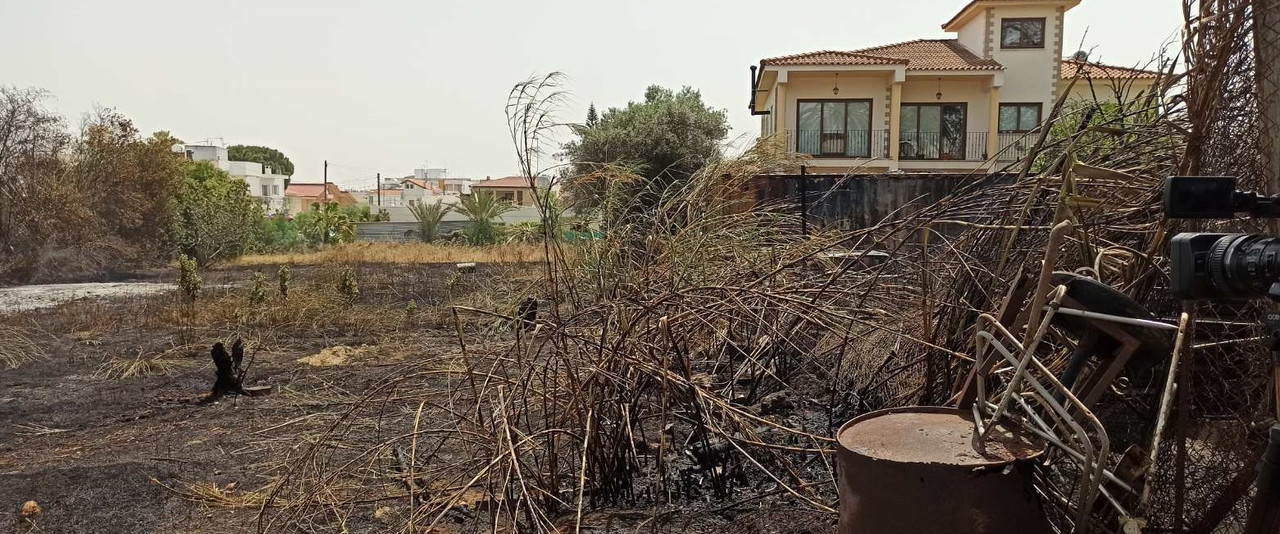 1.αγλαντζια
