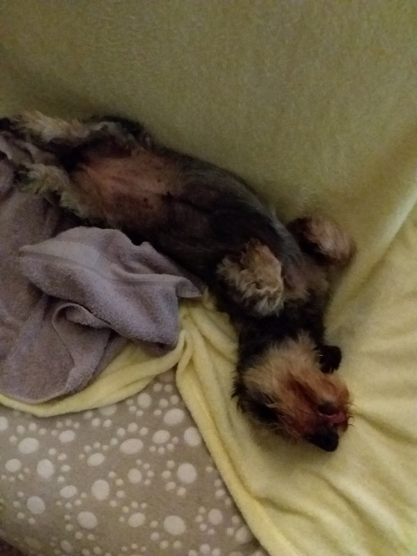 [Image: 20240603-221400.jpg]