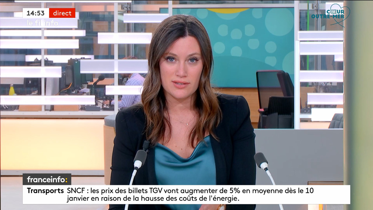 Le fil info 14h 2022_11_18_12_59_00.ts_snapshot_00.57.04.568