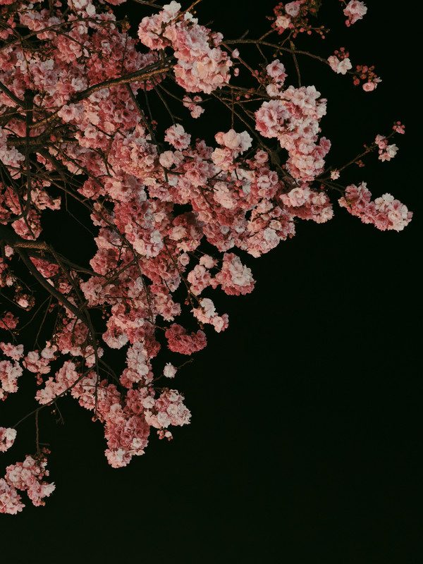 微信图片 20260312135237 9269 14