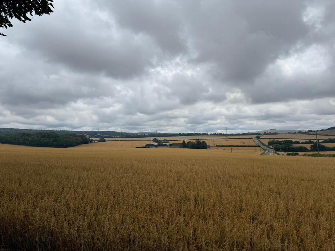 An overcast field in west sussex.