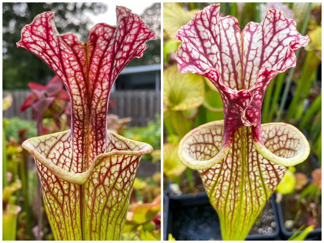 30304F0A-2BEE-4E3F-B9B4-9C07A622E83C