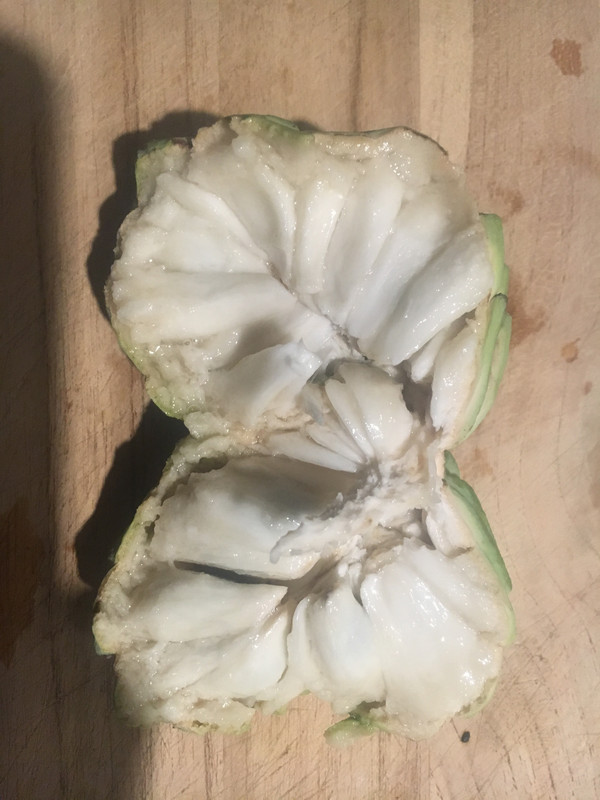 A5F70124-6751-4088-9933-B8F2724B5AF1