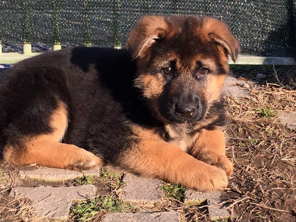 FFBA7CC5-6A5E-4AC3-B0E7-ED8BFEB48D03