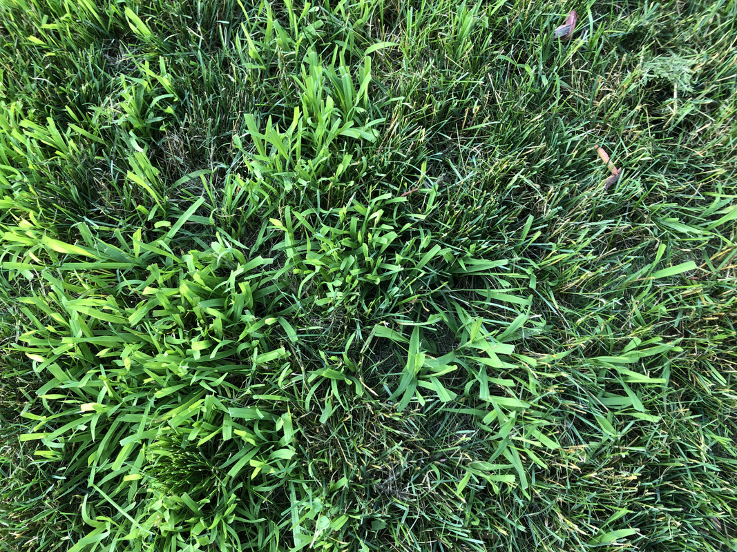 B24EC8BF-6C1D-4F07-B699-221A4D411F94