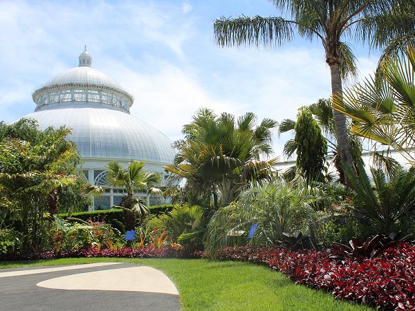 NYBG06082019-3.jpg