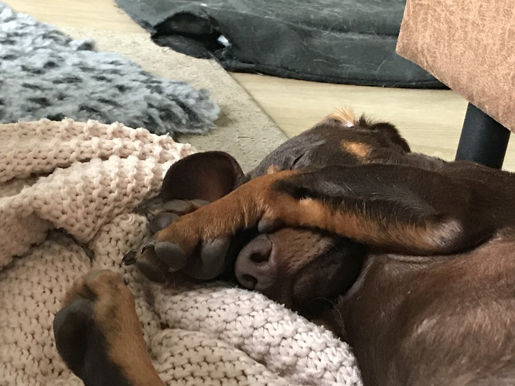 1C55736A-B53E-4BBC-A272-20F36BBC4C71