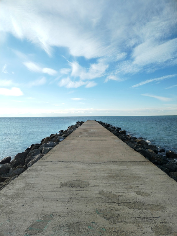 IMG_20240113_152443_edit_171098353544781