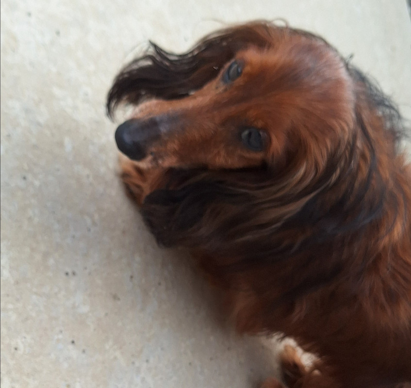 [Image: 20250625-191455.jpg]