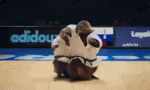 https://i.postimg.cc/26Bbw802/147137-judo-multi-media-channels-tv-france-france-3-les-marmottes-sports.gif