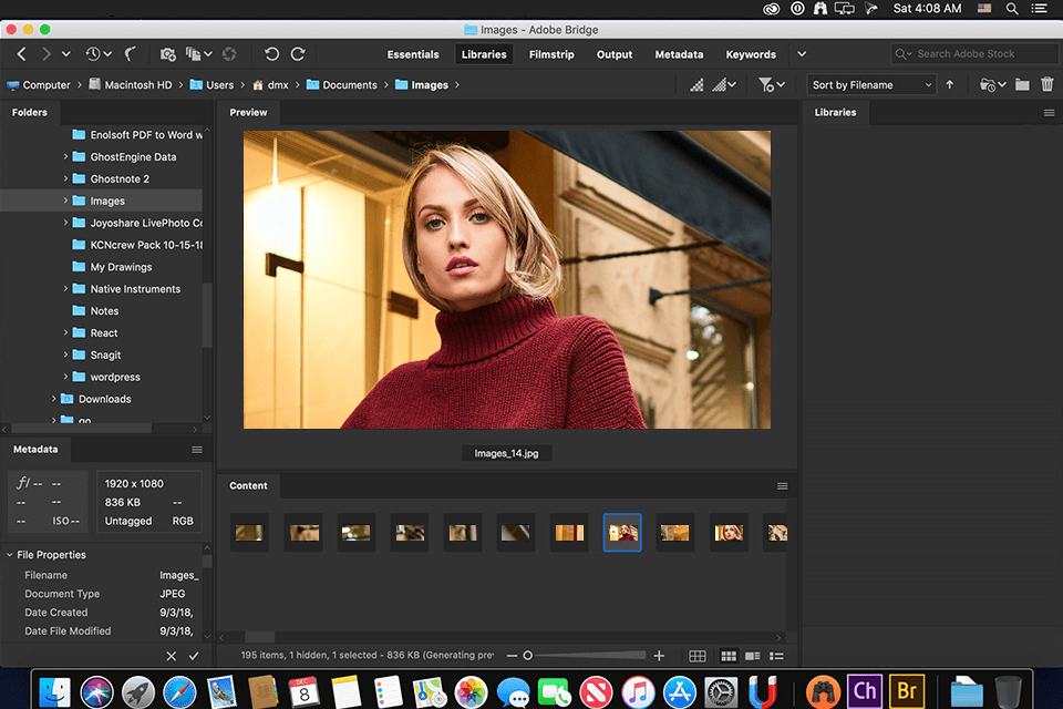 Adobe-Bridge-screen.png