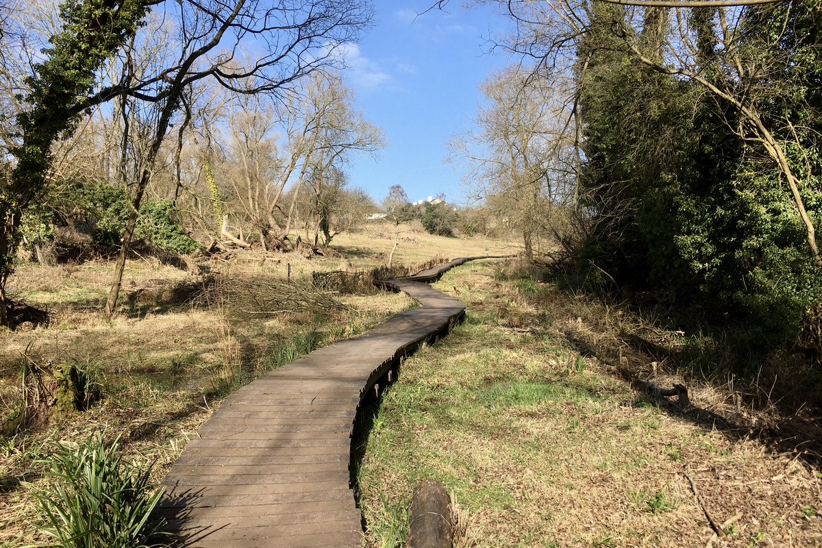 F7925D1D-8DEB-4E13-83CA-CAF4C131426B