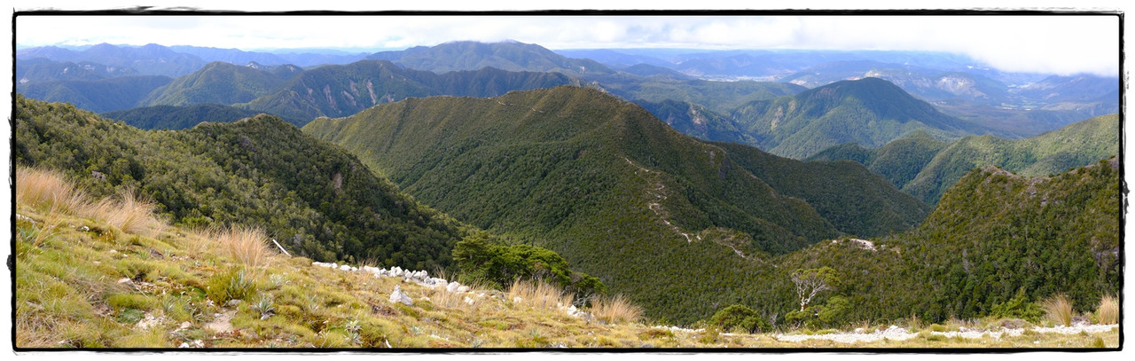 The Old Ghost Road (marzo 2024) - Escapadas y rutas por la Nueva Zelanda menos conocida (41)