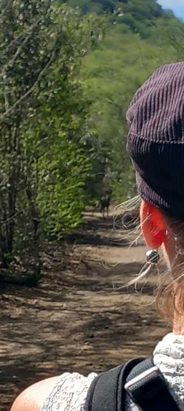 Screenshot 20251125 194715 Gallery