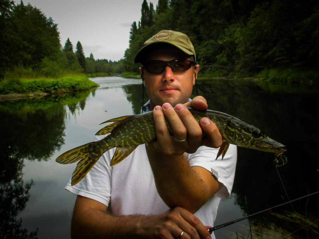 без имени-42