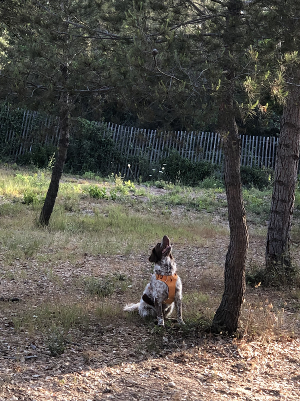 BAD393A4-896F-4210-9AFB-9EF5D8320797